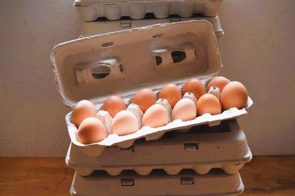 Fresh eggs daily